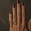 SIP ÉCLAT RING